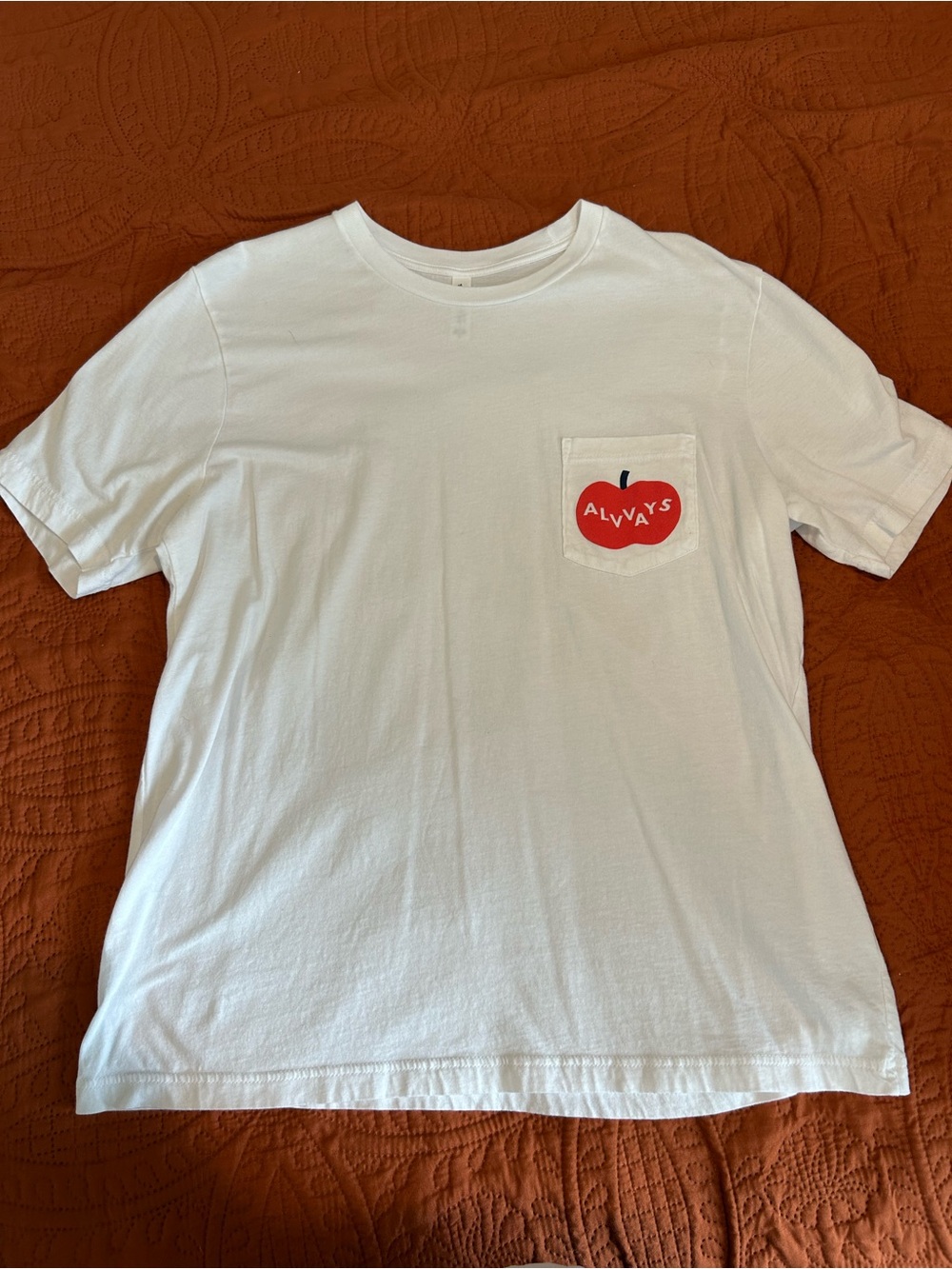 Alvvays Band White Tee